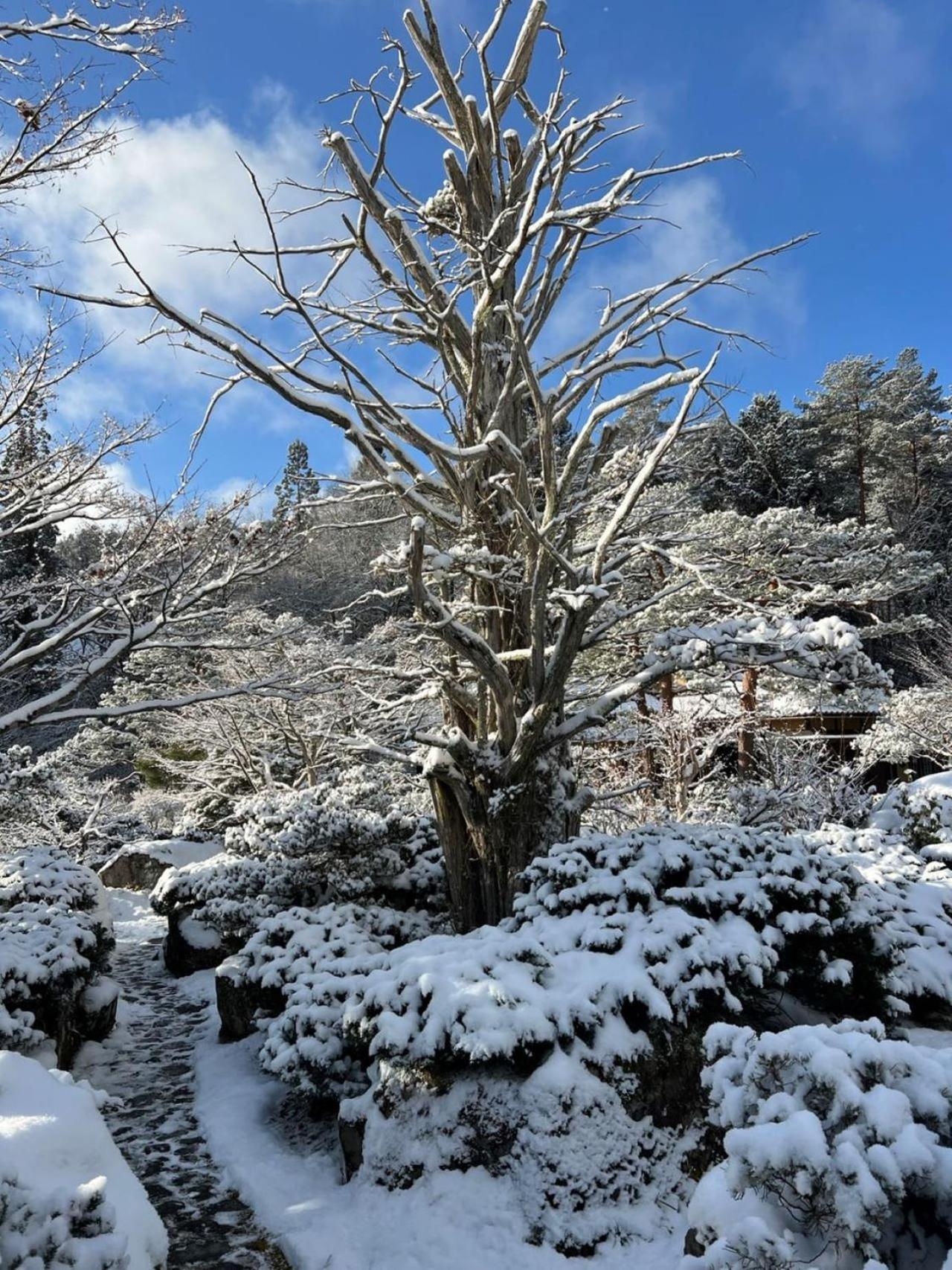 Vila Shohakuen Takajama Exteriér fotografie