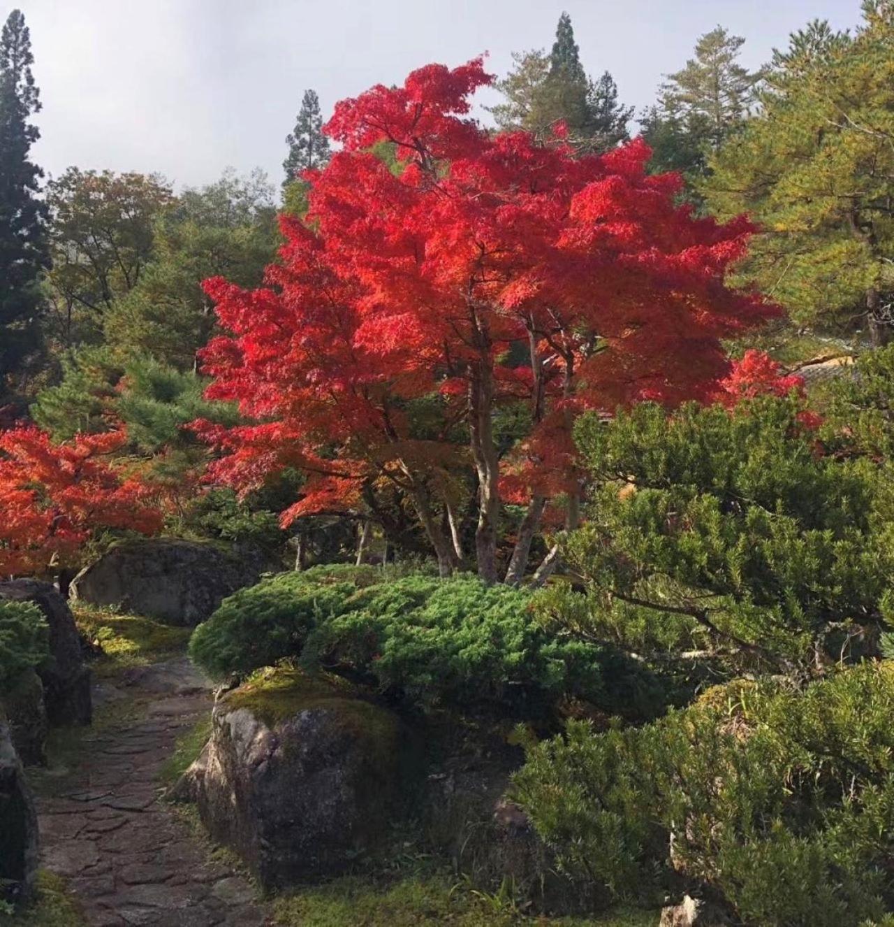 Vila Shohakuen Takajama Exteriér fotografie